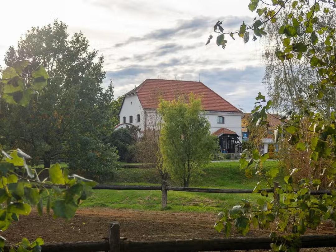 Penzion Horse Farm Lechovice Kültér fotó
